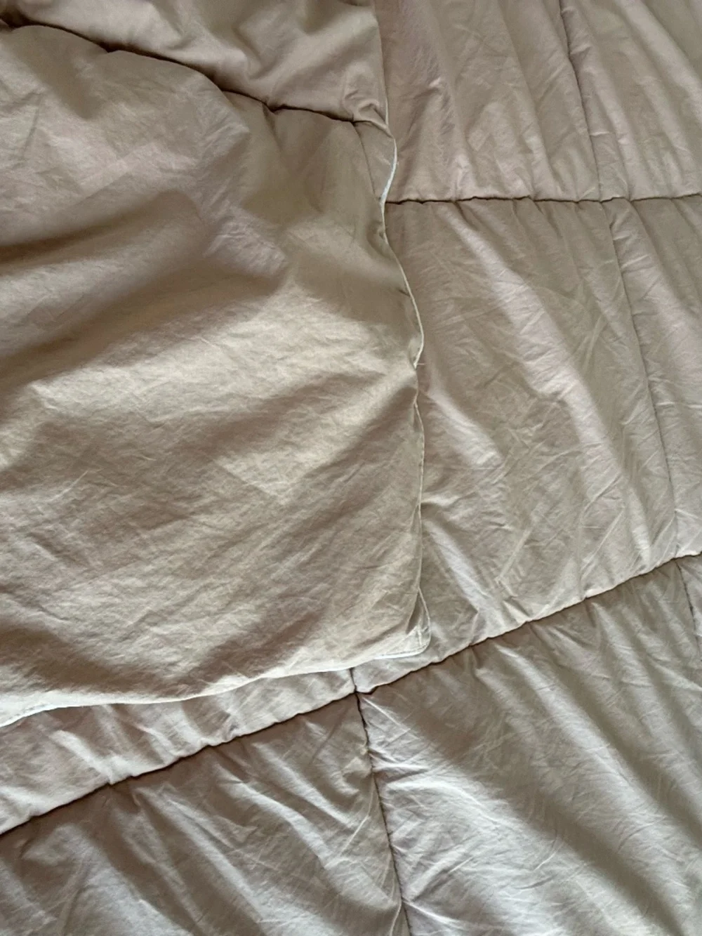 Pink Pillow Gal Down Alternative Comforter